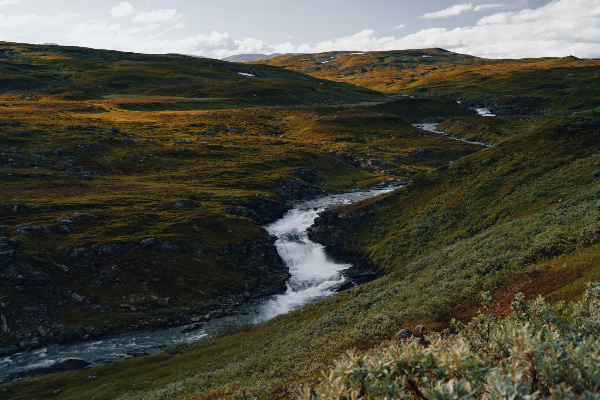 Fjällandskap med vattendrag